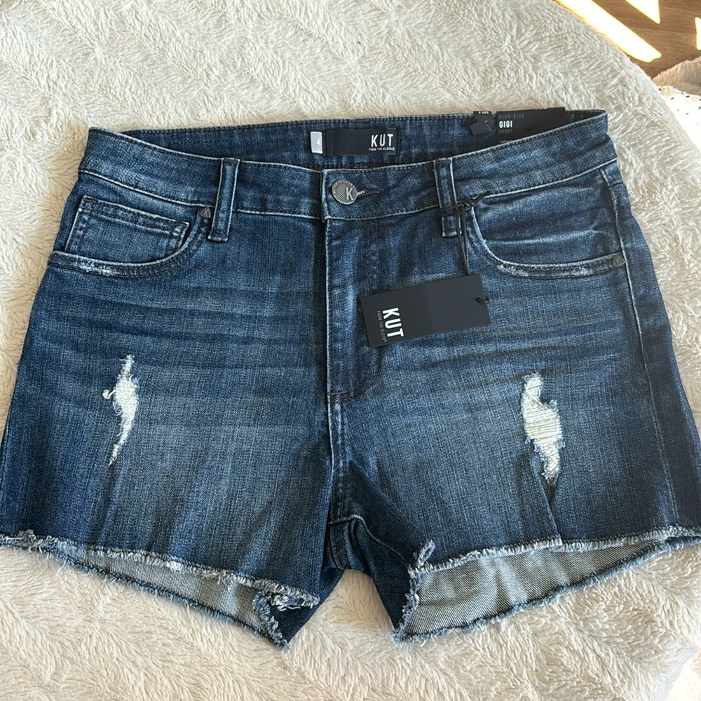 Kut from the Kloth Gigi high rise short